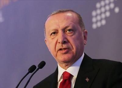 اردوغان: آمریکا بیش از 30 هزار کامیون سلاح به سوریه ارسال نموده است