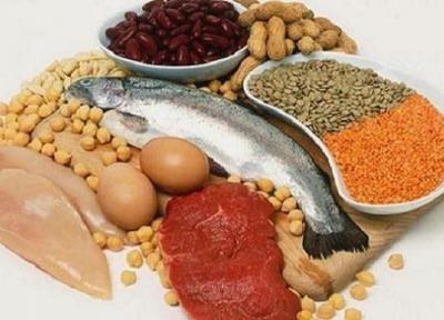 بین مصرف پروتئین و مرگ های سرطانی ارتباط وجود دارد!