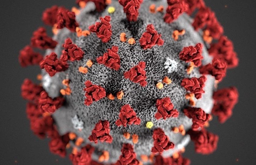 عکس، شکل ویروس کرونا توسط دانشمندان روس کشف شد